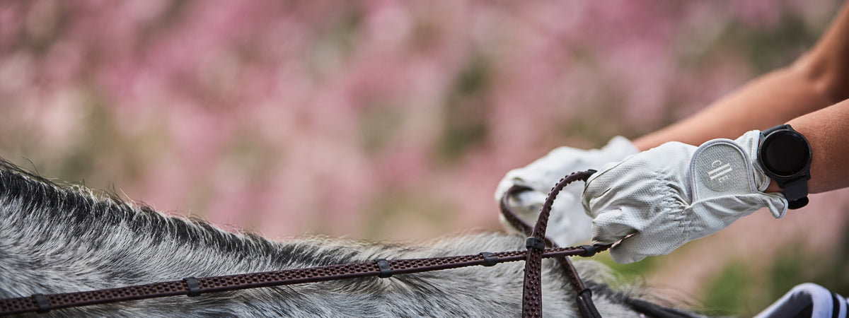 See To Equestrian