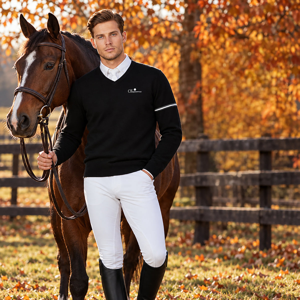 PLEASANTON Longsleeved V-Neck Pullover Black (Jet Black)