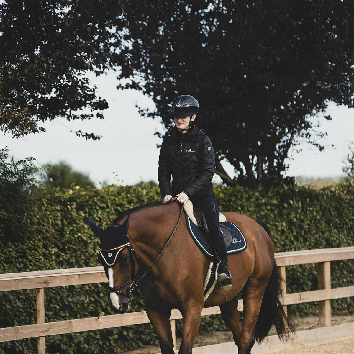 CARPINTERIA 2in1 Jacket/Bodywarmer Navy (Black Iris)
