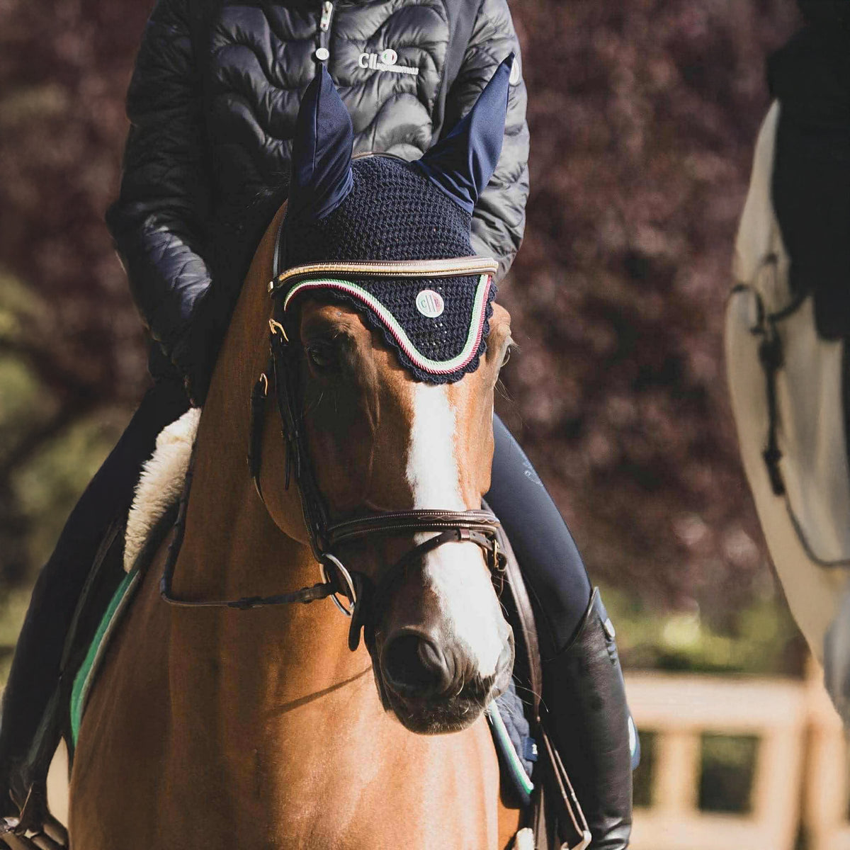 CARPINTERIA 2in1 Jacket/Bodywarmer Navy (Black Iris)