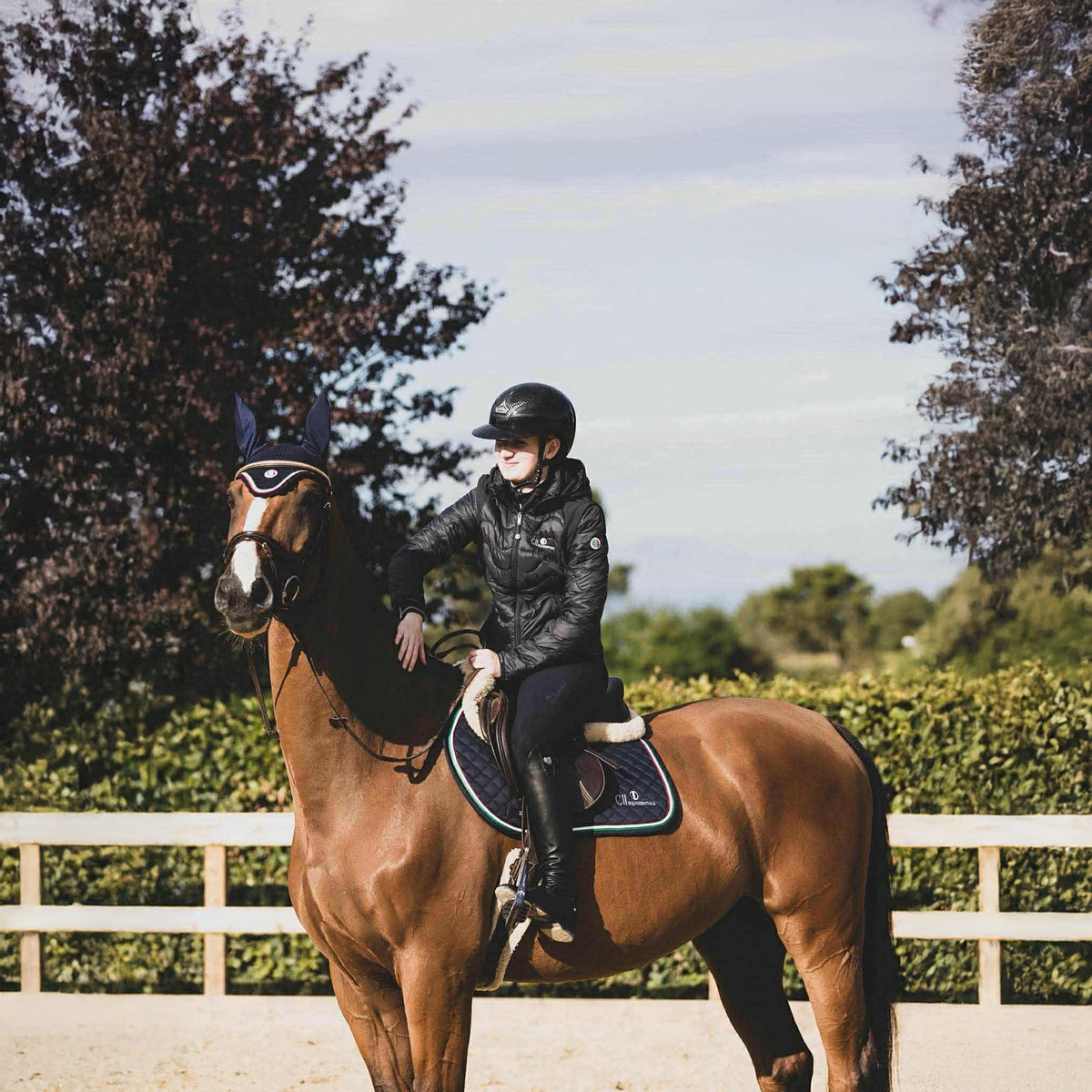 CARPINTERIA 2in1 Jacket/Bodywarmer Navy (Black Iris)