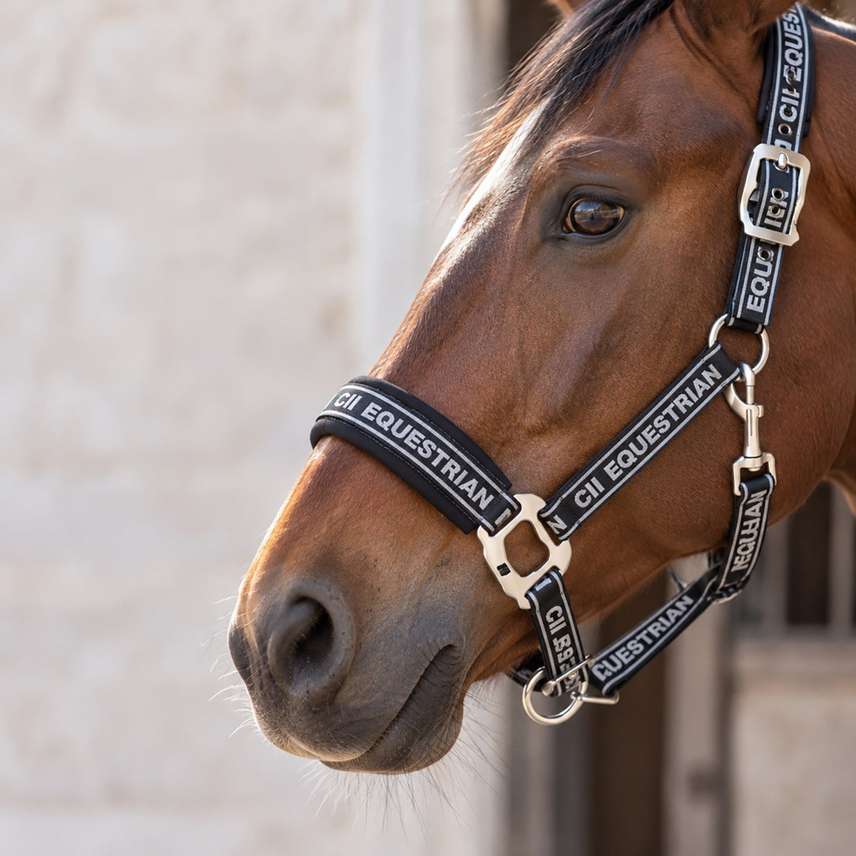 MILLBRAE Logo Nylon Halter Navy (Black Iris)